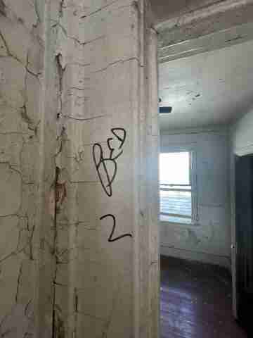 17257 bloom (27).jpg